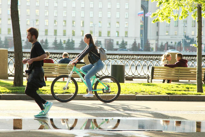 Игорь Налимов: Паркам необходимы новые велотрассы