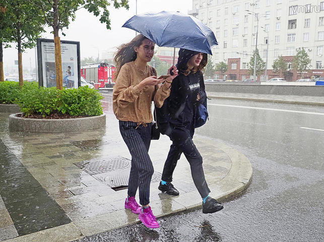МЧС предупредило москвичей о сильном дожде и порывистом ветре