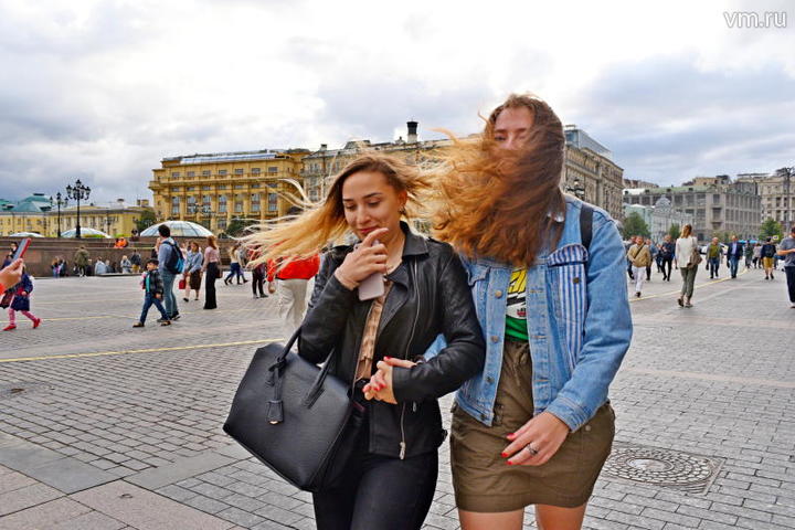МЧС предупредило москвичей о сильном ветре 28 июля