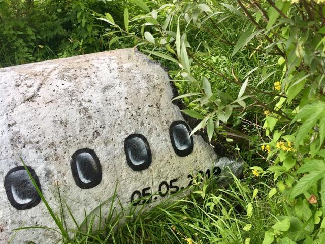 В самом углу стоит дата — 05.05.2019 / Рафаэль Залян, «Вечерняя Москва»