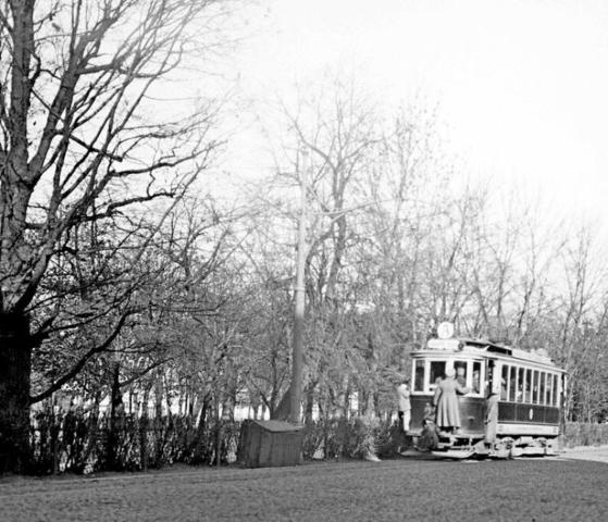 БЫЛО: это же самое дерево запечатлено в левом краю снимка, сделанного в 1917 году / mos.ru