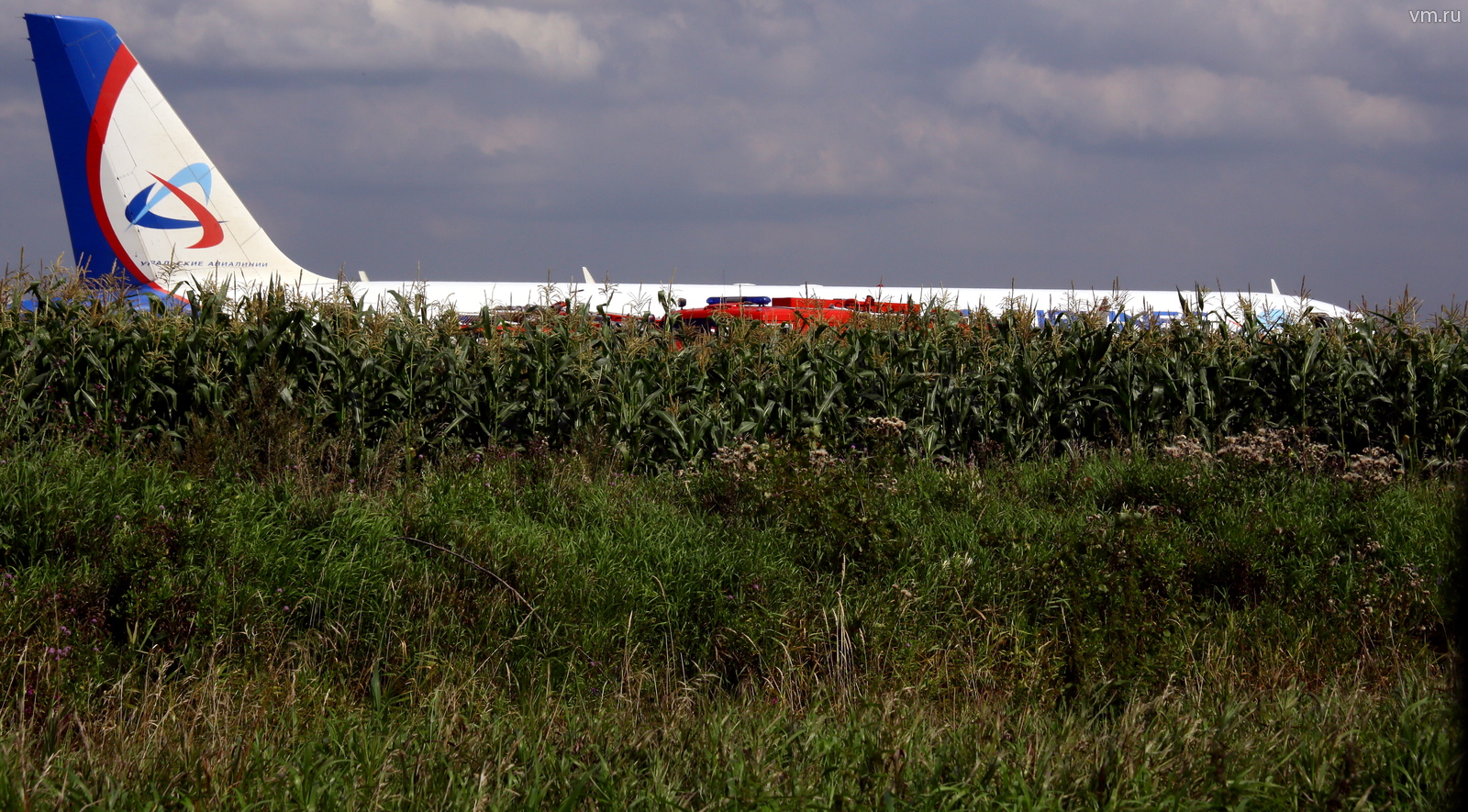 МАК назвал причины вынужденной посадки самолета в кукурузном поле