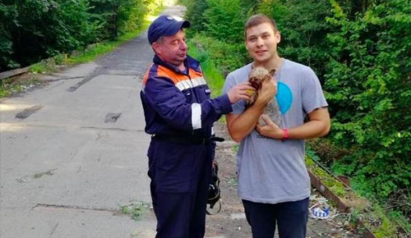 Спасатели в Ступино достали собаку из водосточной трубы