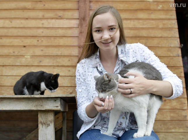 Корреспондент «ВМ» выяснила, с чем сталкиваются волонтеры в приютах для животных